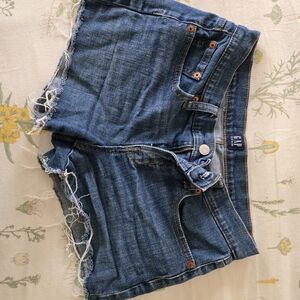 GAP Blue Denim Frayed Shorts